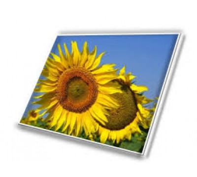 HW141WX101 14" WXGA LED LCD screen