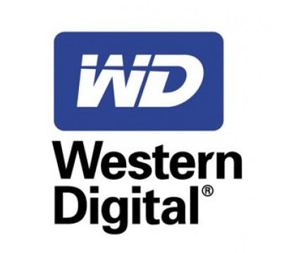 WESTERN DIGITAL LAPTOP HARD DRIVE 250GB W94DJ