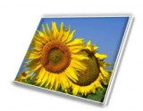 HW141WX101 14" WXGA LED LCD screen